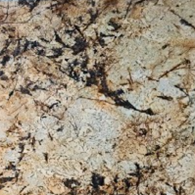 AV-vân bạch dương 